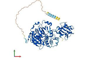 AlphaFold protein structure predicition of Human Recombinant GALNT2 Protein, UniprotID Q10471
