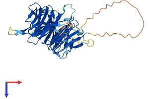 AlphaFold protein structure predicition of Mouse Recombinant Nup43 Protein, UniprotID P59235