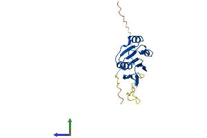 AlphaFold protein structure predicition of Mouse Recombinant Ndufaf3 Protein, UniprotID Q9JKL4