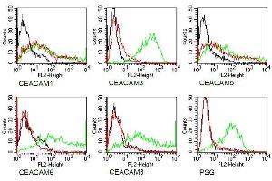 Specificity testing of 4/3/17. (CEACAM1/5 anticorps)