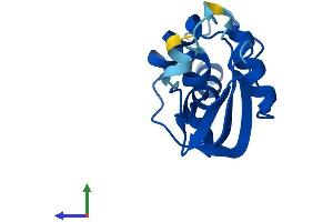 AlphaFold protein structure predicition of Human Recombinant TRMT112 Protein, UniprotID Q9UI30