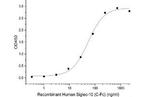 ELISA image for Sialic Acid Binding Ig-Like Lectin 10 (SIGLEC10) (Active) protein (Fc Tag) (ABIN7319822)