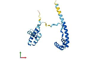 AlphaFold protein structure predicition of Mouse Recombinant Hmgb4 Protein, UniprotID Q6P8W9