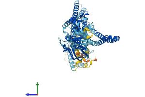 AlphaFold protein structure predicition of Human Recombinant TAP2 Protein, UniprotID Q03519