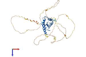 AlphaFold protein structure predicition of Mouse Recombinant Smap2 Protein, UniprotID Q7TN29