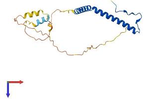 AlphaFold protein structure predicition of Mouse Recombinant Aurkaip1 Protein, UniprotID Q9DCJ7