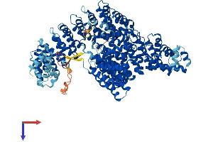AlphaFold protein structure predicition of Human Recombinant IPO4 Protein, UniprotID Q8TEX9