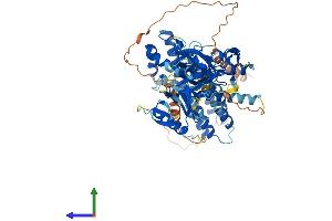 AlphaFold protein structure predicition of Mouse Recombinant Fgd2 Protein, UniprotID Q8BY35
