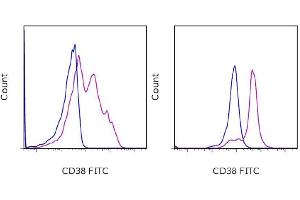 Flow Cytometry (FACS) image for anti-CD38 antibody (APC) (ABIN2144236) (CD38 anticorps  (APC))