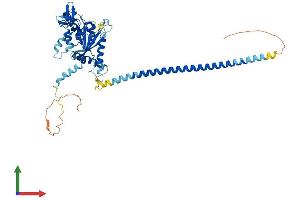 AlphaFold protein structure predicition of Human Recombinant SEPTIN10 Protein, UniprotID Q9P0V9