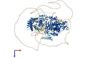 AlphaFold protein structure predicition of Mouse Recombinant Kdm6a Protein, UniprotID O70546