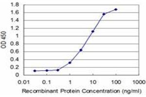 Detection limit for recombinant GST tagged ABL2 is approximately 0. (ABL2 anticorps  (AA 743-842))