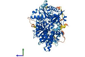 AlphaFold protein structure predicition of Human Recombinant DHX33 Protein, UniprotID Q9H6R0