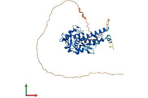 AlphaFold protein structure predicition of Human Recombinant MAGEA4 Protein, UniprotID P43358