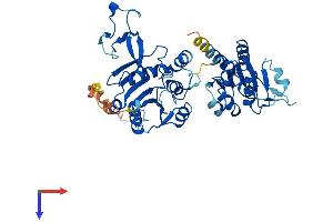 AlphaFold protein structure predicition of Mouse Recombinant Cmas Protein, UniprotID Q99KK2