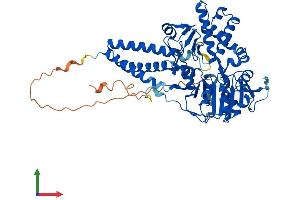 AlphaFold protein structure predicition of Mouse Recombinant Nt5dc3 Protein, UniprotID Q3UHB1