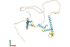 AlphaFold protein structure predicition of Mouse Recombinant Rsrc2 Protein, UniprotID A2RTL5
