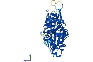 AlphaFold protein structure predicition of Human Recombinant ACTB Protein, UniprotID P60709