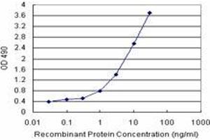 ZFYVE19 (Human) Matched Antibody Pair