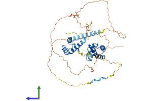 AlphaFold protein structure predicition of Mouse Recombinant Pou3f2 Protein, UniprotID P31360