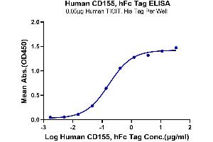 Immobilized Human TIGIT, His Tag at 0. (Poliovirus Receptor Protein (PVR) (AA 21-343) (Fc Tag))