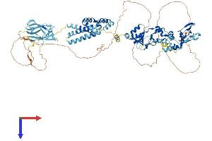 AlphaFold protein structure predicition of Mouse Recombinant Cnnm2 Protein, UniprotID Q3TWN3