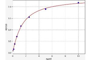 Typical standard curve (MTOR Kit ELISA)
