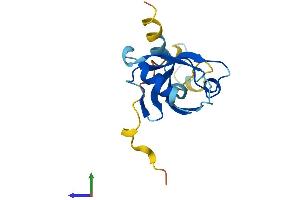 AlphaFold protein structure predicition of Human Recombinant PDZD11 Protein, UniprotID Q5EBL8