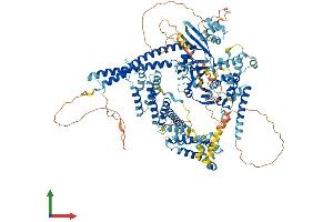 AlphaFold protein structure predicition of Human Recombinant USP28 Protein, UniprotID Q96RU2