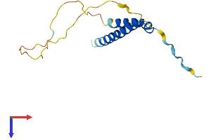 AlphaFold protein structure predicition of Mouse Recombinant Cdk2ap2 Protein, UniprotID Q9CPY4