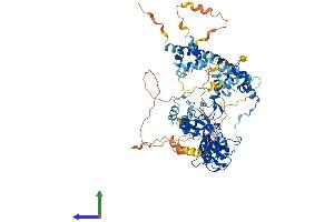 AlphaFold protein structure predicition of Human Recombinant EZH2 Protein, UniprotID Q15910