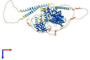 AlphaFold protein structure predicition of Mouse Recombinant Osbpl3 Protein, UniprotID Q9DBS9