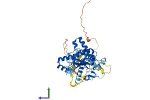 AlphaFold protein structure predicition of Human Recombinant TTLL9 Protein, UniprotID Q3SXZ7