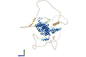 AlphaFold protein structure predicition of Human Recombinant RMI1 Protein, UniprotID Q9H9A7