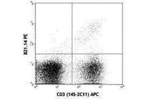 Flow Cytometry (FACS) image for anti-V alpha 8.3 TCR antibody (PE) (ABIN2663911) (V alpha 8.3 TCR anticorps (PE))