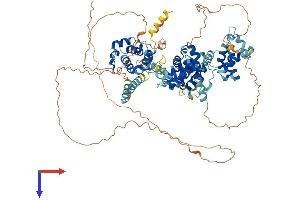 AlphaFold protein structure predicition of Human Recombinant BEND3 Protein, UniprotID Q5T5X7