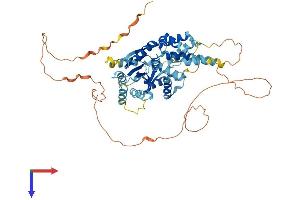 AlphaFold protein structure predicition of Human Recombinant CDC6 Protein, UniprotID Q99741