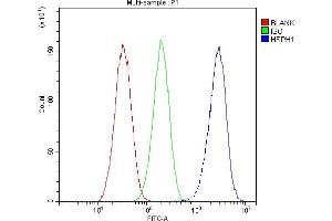 Flow Cytometry analysis of HepG2 cells using anti-Hsp105 antibody (ABIN5693036). (HSPH1 anticorps  (AA 653-858))