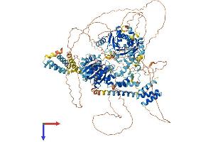 AlphaFold protein structure predicition of Mouse Recombinant Ercc6l Protein, UniprotID Q8BHK9