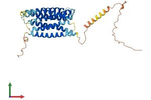 AlphaFold protein structure predicition of Human Recombinant GPRC5D Protein, UniprotID Q9NZD1