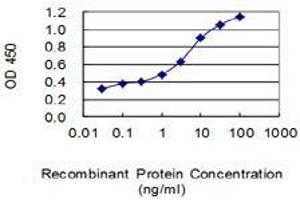 anti-Chemokine (C-X-C Motif) Ligand 2 (CXCL2) (AA 1-100) antibody