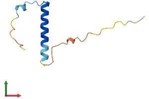 AlphaFold protein structure predicition of Mouse Recombinant Nrgn Protein, UniprotID P60761