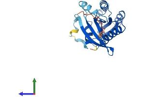 AlphaFold protein structure predicition of Human Recombinant RAB39A Protein, UniprotID Q14964