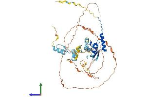 AlphaFold protein structure predicition of Human Recombinant ZBTB9 Protein, UniprotID Q96C00
