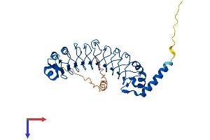AlphaFold protein structure predicition of Human Recombinant LRRC23 Protein, UniprotID Q53EV4