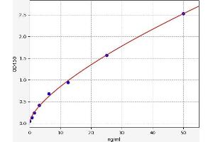 Typical standard curve (IgG Kit ELISA)