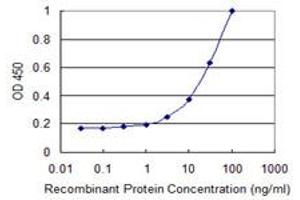 Detection limit for recombinant GST tagged FERMT2 is 1 ng/ml as a capture antibody. (FERMT2 anticorps  (AA 1-680))
