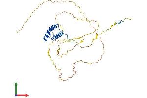 AlphaFold protein structure predicition of Mouse Recombinant Dlx3 Protein, UniprotID Q64205