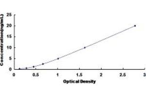Typical standard curve (MYH4 Kit ELISA)