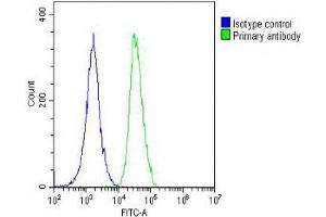 Overlay histogram showing A549 cells stained with (ABIN654062 and ABIN2843960) (green line).